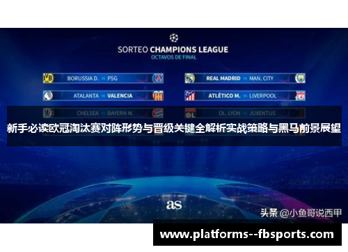 新手必读欧冠淘汰赛对阵形势与晋级关键全解析实战策略与黑马前景展望 新手必读欧冠淘汰赛对阵形势与晋级关键全解析实战策略与黑马前景展望